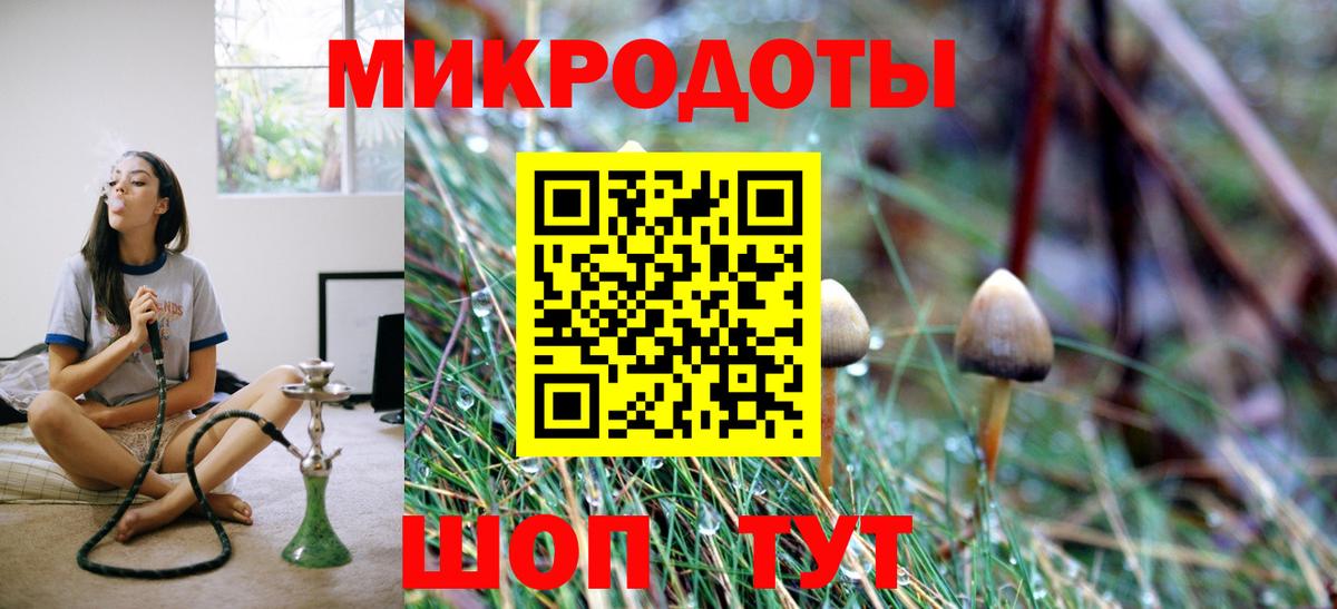 Псилоцибиновые грибы Psilocybine cubensis Лабинск