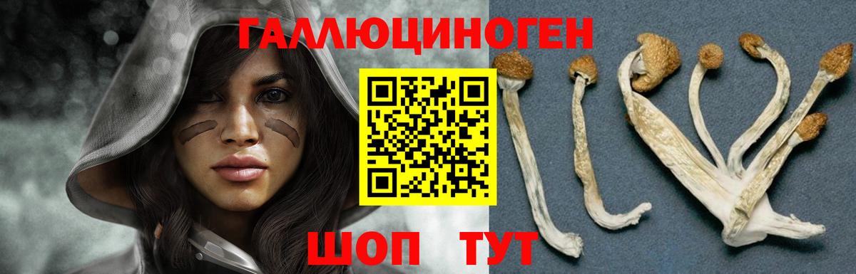 Псилоцибиновые грибы ЛСД  Вход с VPN  Галлюциногенные грибы мицелий  Лабинск 